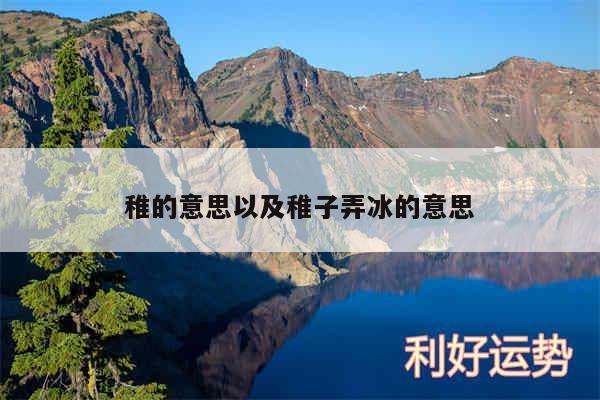 稚的意思以及稚子弄冰的意思