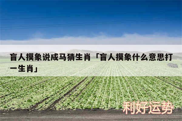 盲人摸象说成马猜生肖及盲人摸象什么意思打一生肖