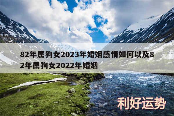 82年属狗女2024年婚姻感情如何以及82年属狗女2024年婚姻