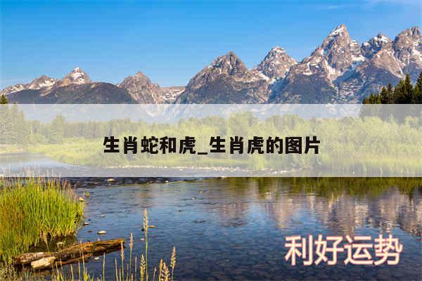 生肖蛇和虎_生肖虎的图片