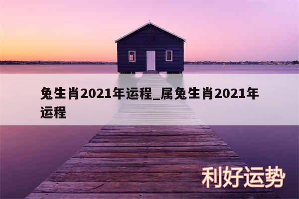 兔生肖2024年运程_属兔生肖2024年运程