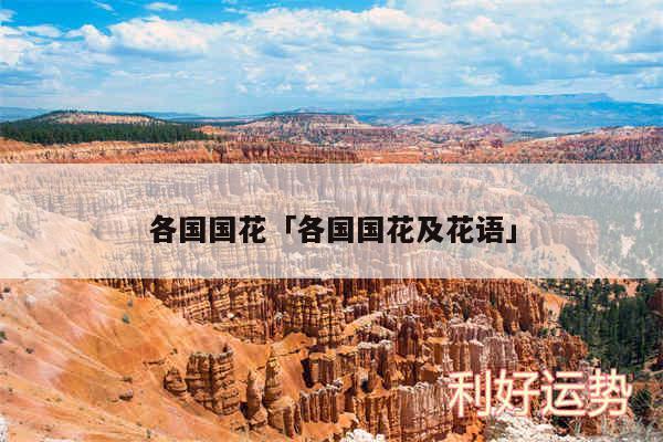 各国国花及各国国花及花语