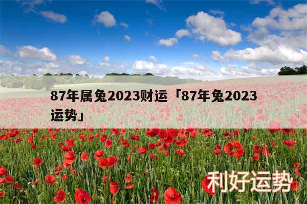 87年属兔2024财运及87年兔2024运势