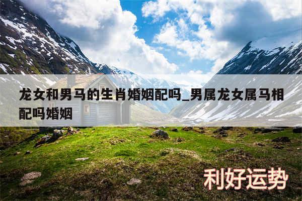 龙女和男马的生肖婚姻配吗_男属龙女属马相配吗婚姻