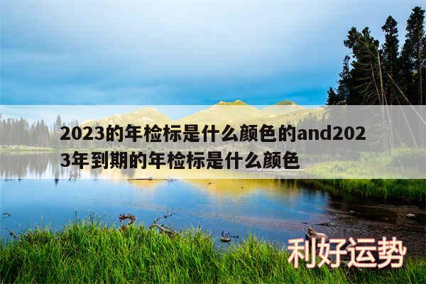 2024的年检标是什么颜色的and2024年到期的年检标是什么颜色