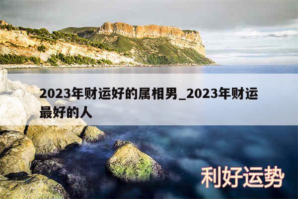 2024年财运好的属相男_2024年财运最好的人