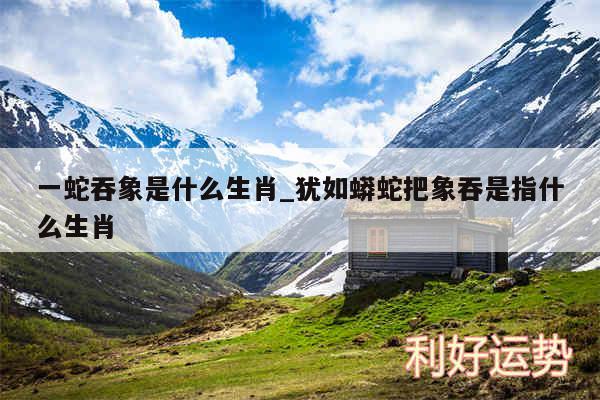 一蛇吞象是什么生肖_犹如蟒蛇把象吞是指什么生肖