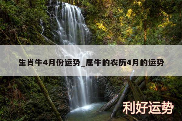 生肖牛4月份运势_属牛的农历4月的运势