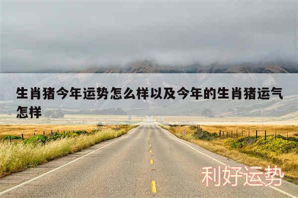 生肖猪今年运势怎么样以及今年的生肖猪运气怎样
