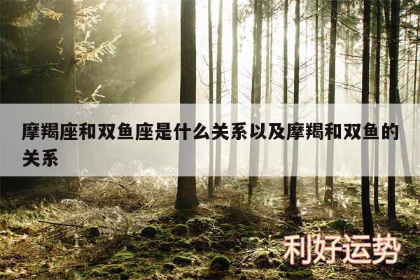 摩羯座和双鱼座是什么关系以及摩羯和双鱼的关系