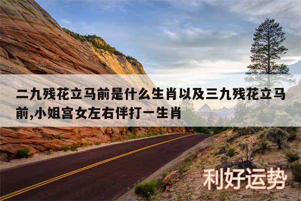 二九残花立马前是什么生肖以及三九残花立马前,小姐宫女左右伴打一生肖