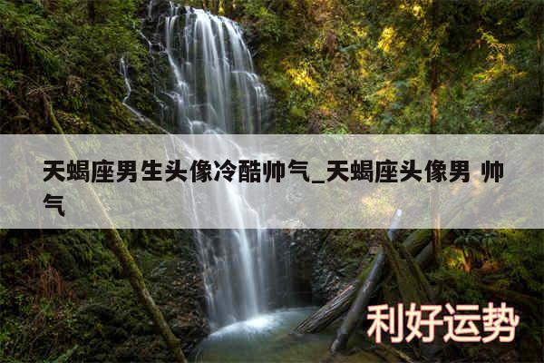 天蝎座男生头像冷酷帅气_天蝎座头像男 帅气