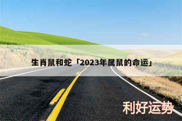 生肖鼠和蛇及2024年属鼠的命运