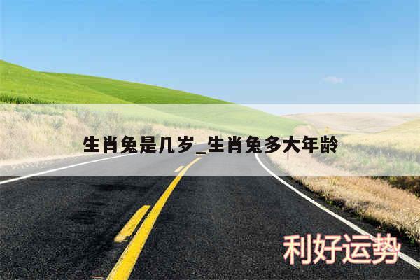 生肖兔是几岁_生肖兔多大年龄