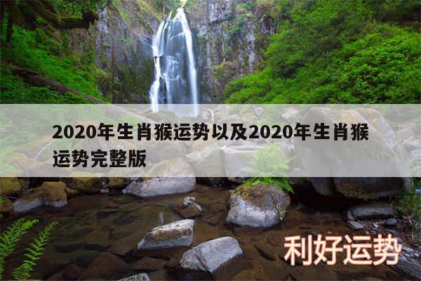 2020年生肖猴运势以及2020年生肖猴运势完整版