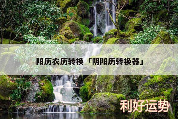 阳历农历转换及阴阳历转换器