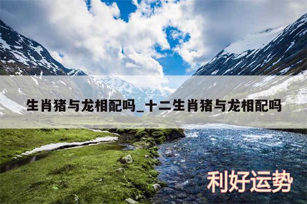 生肖猪与龙相配吗_十二生肖猪与龙相配吗