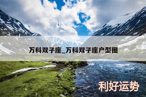 万科双子座_万科双子座户型图