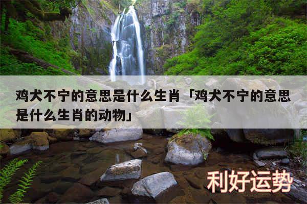 鸡犬不宁的意思是什么生肖及鸡犬不宁的意思是什么生肖的动物