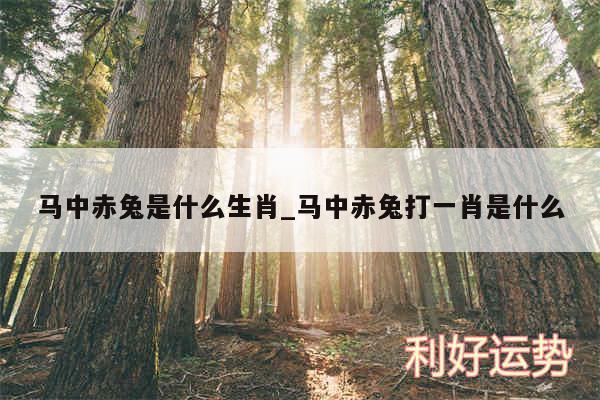 马中赤兔是什么生肖_马中赤兔打一肖是什么