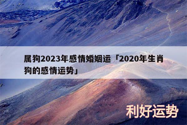 属狗2024年感情婚姻运及2020年生肖狗的感情运势