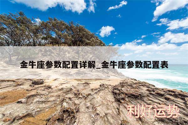 金牛座参数配置详解_金牛座参数配置表