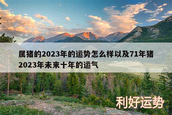 属猪的2024年的运势怎么样以及71年猪2024年未来十年的运气