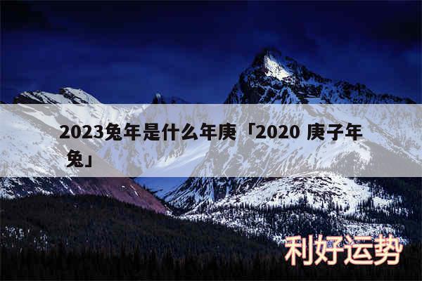 2024兔年是什么年庚及2020 庚子年 兔