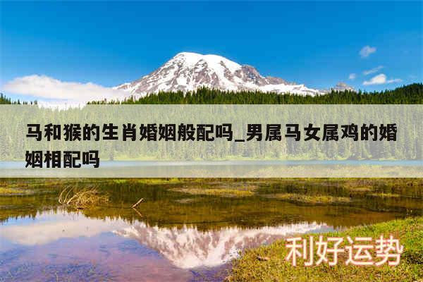 马和猴的生肖婚姻般配吗_男属马女属鸡的婚姻相配吗