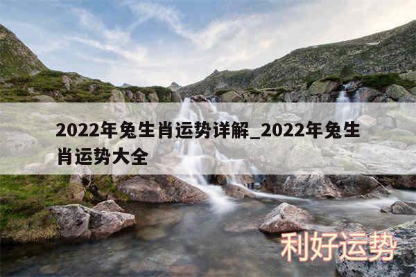 2024年兔生肖运势详解_2024年兔生肖运势大全