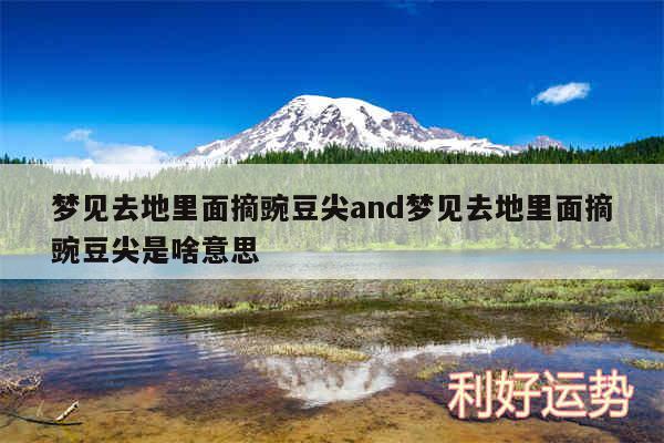 梦见去地里面摘豌豆尖and梦见去地里面摘豌豆尖是啥意思