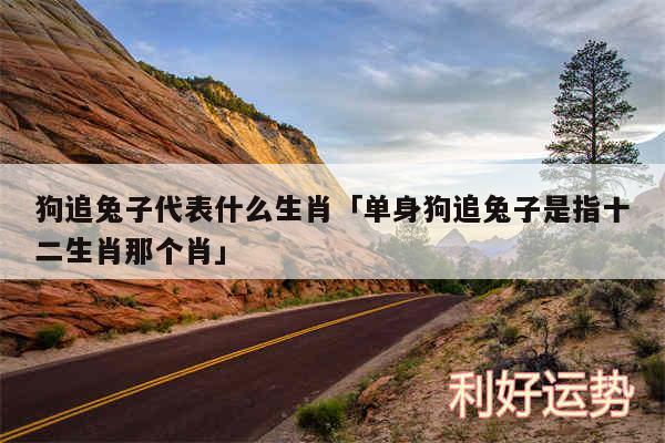 狗追兔子代表什么生肖及单身狗追兔子是指十二生肖那个肖