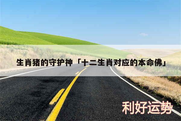 生肖猪的守护神及十二生肖对应的本命佛
