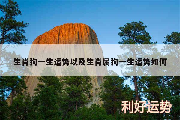 生肖狗一生运势以及生肖属狗一生运势如何