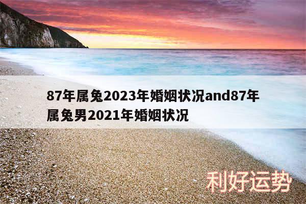 87年属兔2024年婚姻状况and87年属兔男2024年婚姻状况