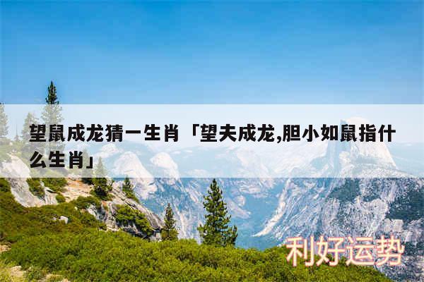 望鼠成龙猜一生肖及望夫成龙,胆小如鼠指什么生肖