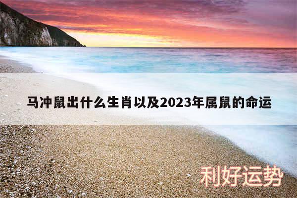 马冲鼠出什么生肖以及2024年属鼠的命运