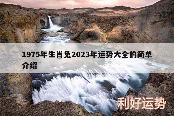 1975年生肖兔2024年运势大全的简单介绍