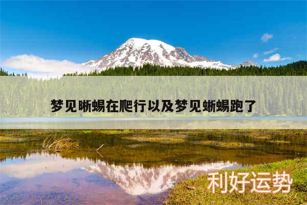 梦见晰蜴在爬行以及梦见蜥蜴跑了