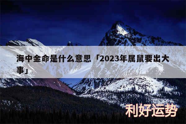 海中金命是什么意思及2024年属鼠要出大事