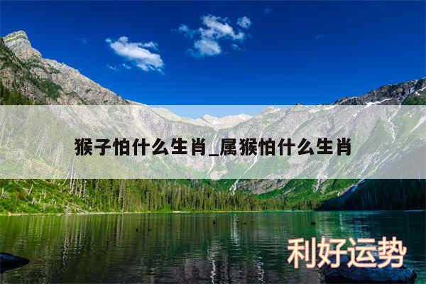 猴子怕什么生肖_属猴怕什么生肖