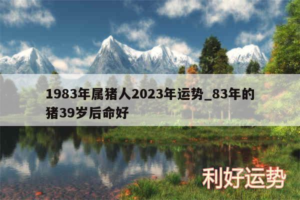 1983年属猪人2024年运势_83年的猪39岁后命好