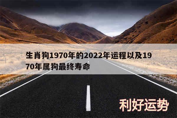 生肖狗1970年的2024年运程以及1970年属狗最终寿命