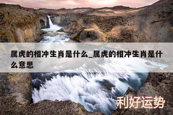 属虎的相冲生肖是什么_属虎的相冲生肖是什么意思