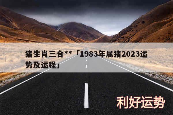 猪生肖三合**及1983年属猪2024运势及运程