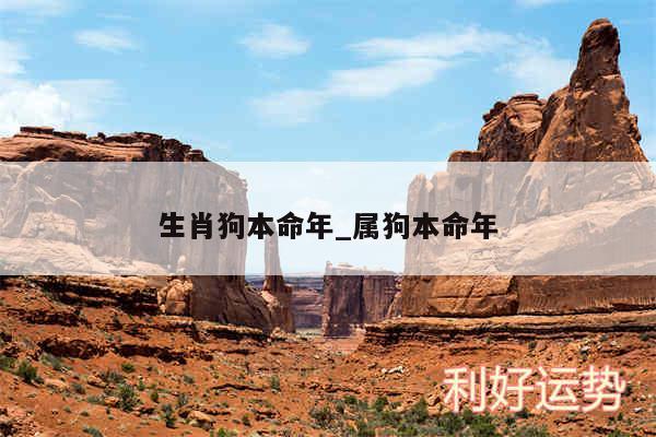 生肖狗本命年_属狗本命年