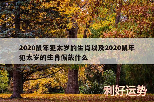 2020鼠年犯太岁的生肖以及2020鼠年犯太岁的生肖佩戴什么