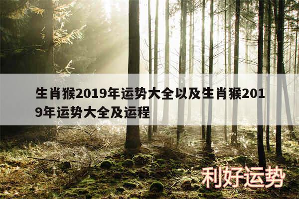 生肖猴2019年运势大全以及生肖猴2019年运势大全及运程