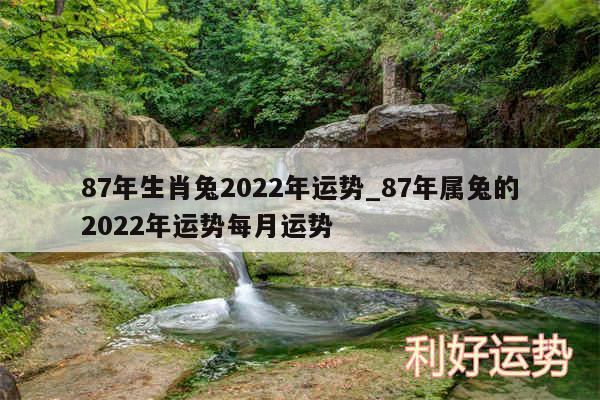 87年生肖兔2024年运势_87年属兔的2024年运势每月运势