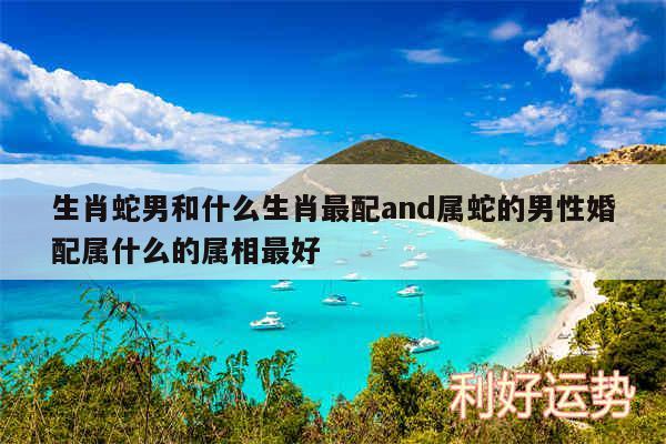生肖蛇男和什么生肖最配and属蛇的男性婚配属什么的属相最好